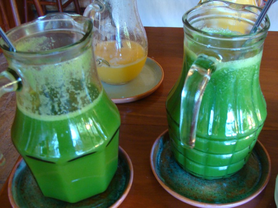Suco emagrecedor de clorofila