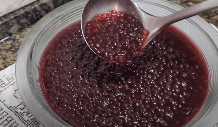 Sagu de vinho