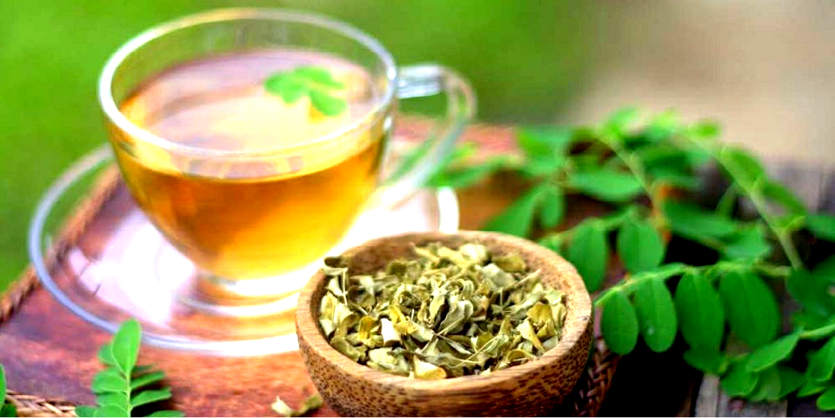 Chá de moringa simples - Receita de Vovó