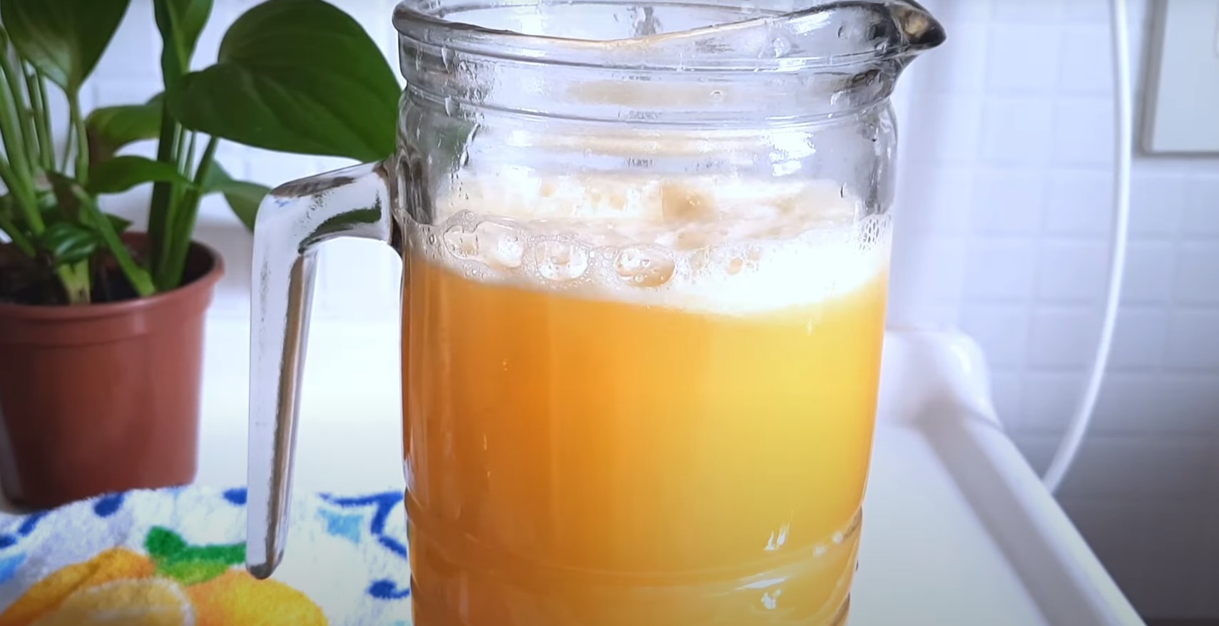 Suco Refrescante de Laranja no Liquidificador